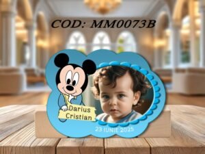 Mărturii magnetice Mickey