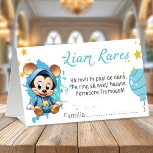 Plic bani bebe Mickey