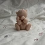 Plush Teddy Bear – Soft Toy