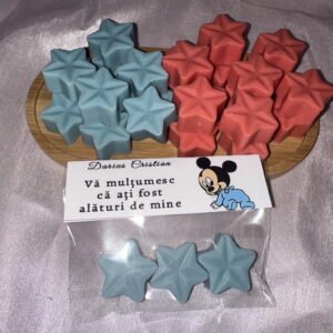 Wax melt steluțe