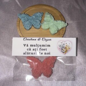 Mini fluture