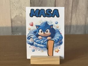 Număr masă Sonic