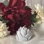 Water Lily Decoration