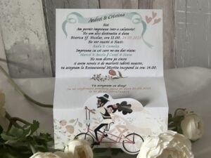 Miri pe bicicleta - imagine 3