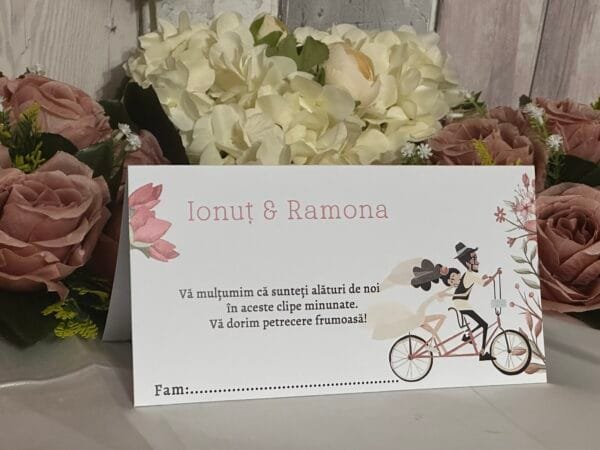 Plic bani miri pe bicicleta