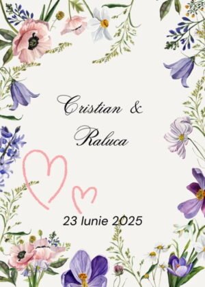Invitatie video