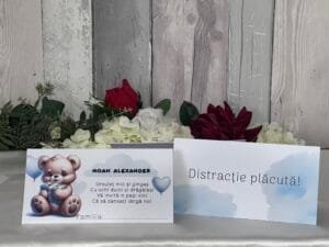 Plic bani ursulet blue - imagine 3