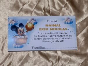 Plic bani bebe Mickey