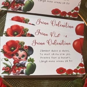 Plic de bani „Minnie cu Maci”