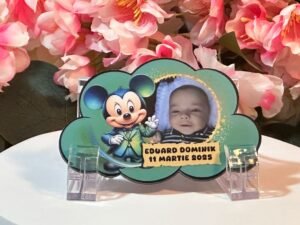 Mărturie Magnetică Mickey