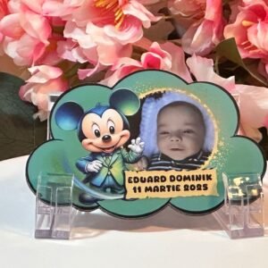 Mărturie Magnetică Mickey