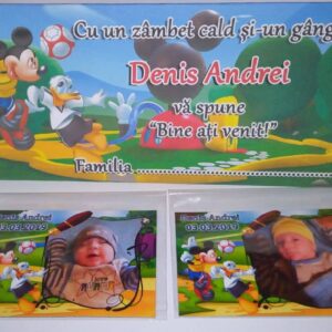 Plic de bani personalizat | Mickey & Donald – Aventură în Parc