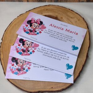 Plic de bani personalizat – Poveste Roz cu Minnie